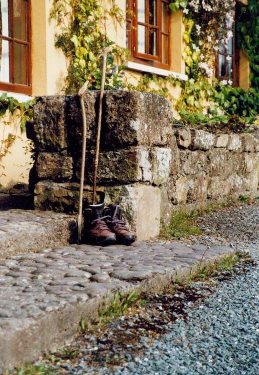 Hanora'S Cottage Guesthouse And Restaurant Ballymacarbry Exterior photo