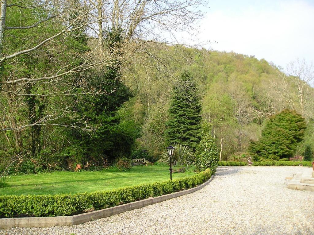 Hanora'S Cottage Guesthouse And Restaurant Ballymacarbry Exterior photo